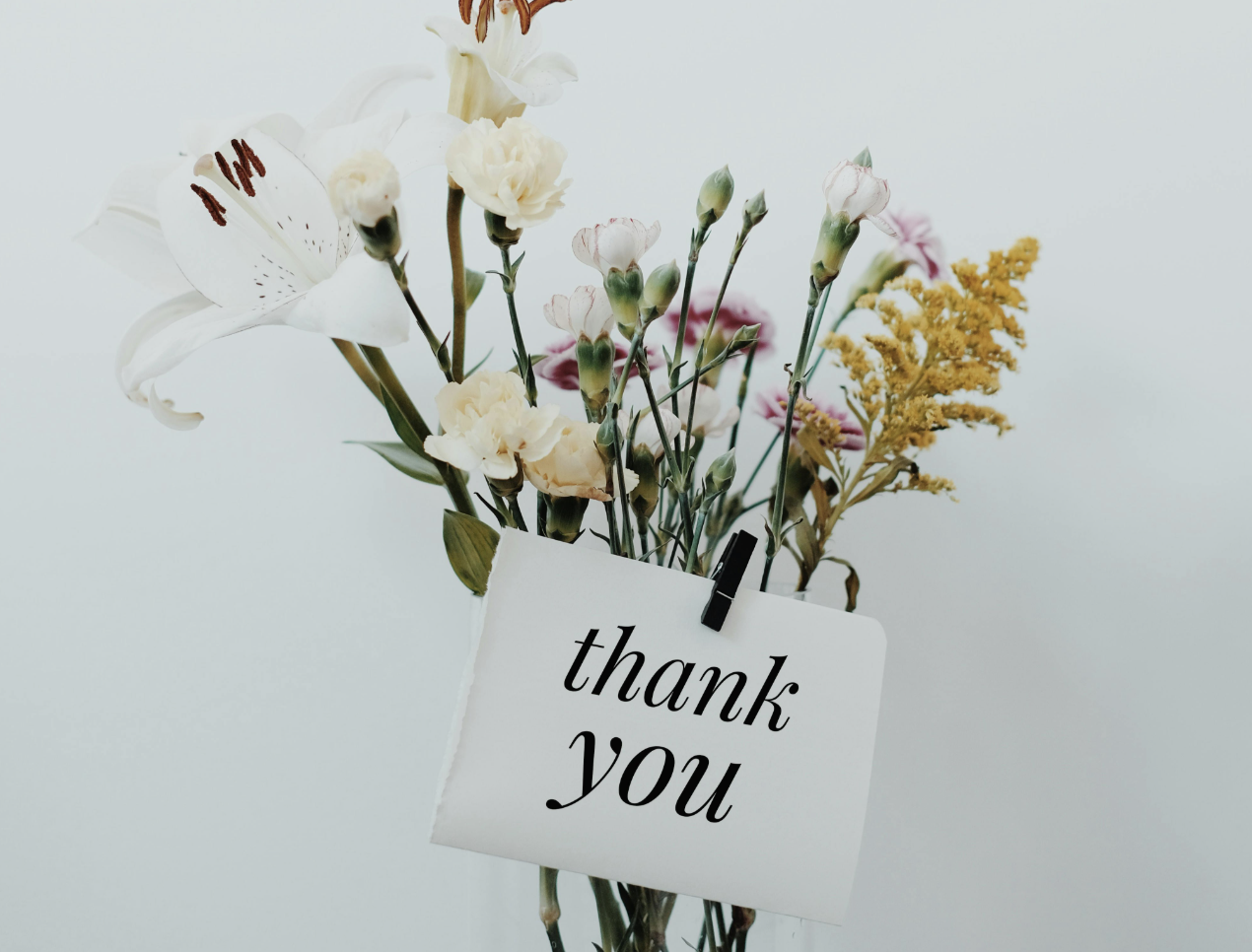 Two Years of Wildwood Organics: Gratitude, Growth & What’s Next